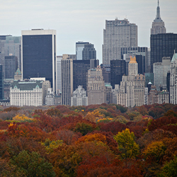 Cores e as Estações em NY