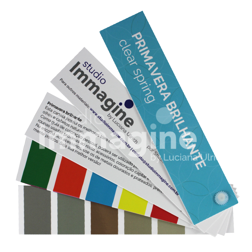 material de coloraçao pessoal Studio Immagine by Luciana Ulrich