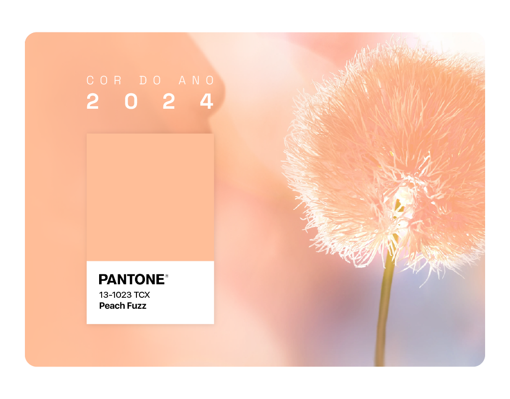 cor do ano 2024 da pantone peach fuzz