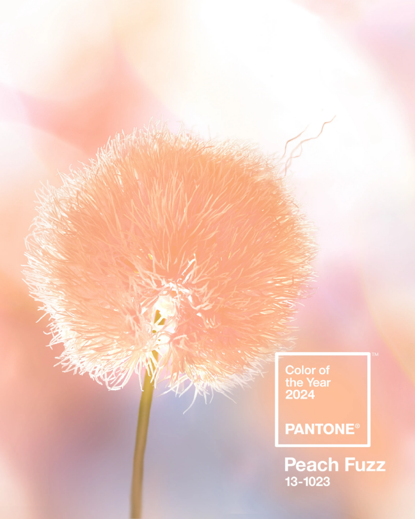 peach fuzz cor do ano 2024 pantone